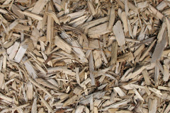 biomass boilers Penrhos